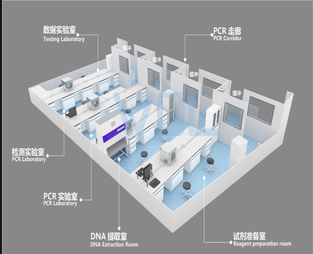 PCR實驗室建設